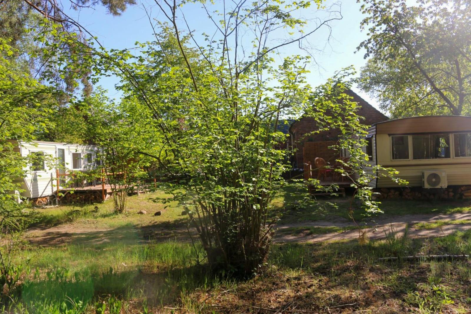 Tinyhaus Idyllisch Am Waldesrand Hotel คอตต์บุส ภายนอก รูปภาพ